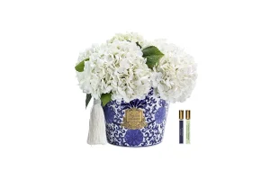 Hoa Tinh Dầu Oriental Hydrangeas – Ivory