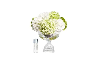 Hoa Tinh Dầu Provence Hydrangeas Mixed Green Large