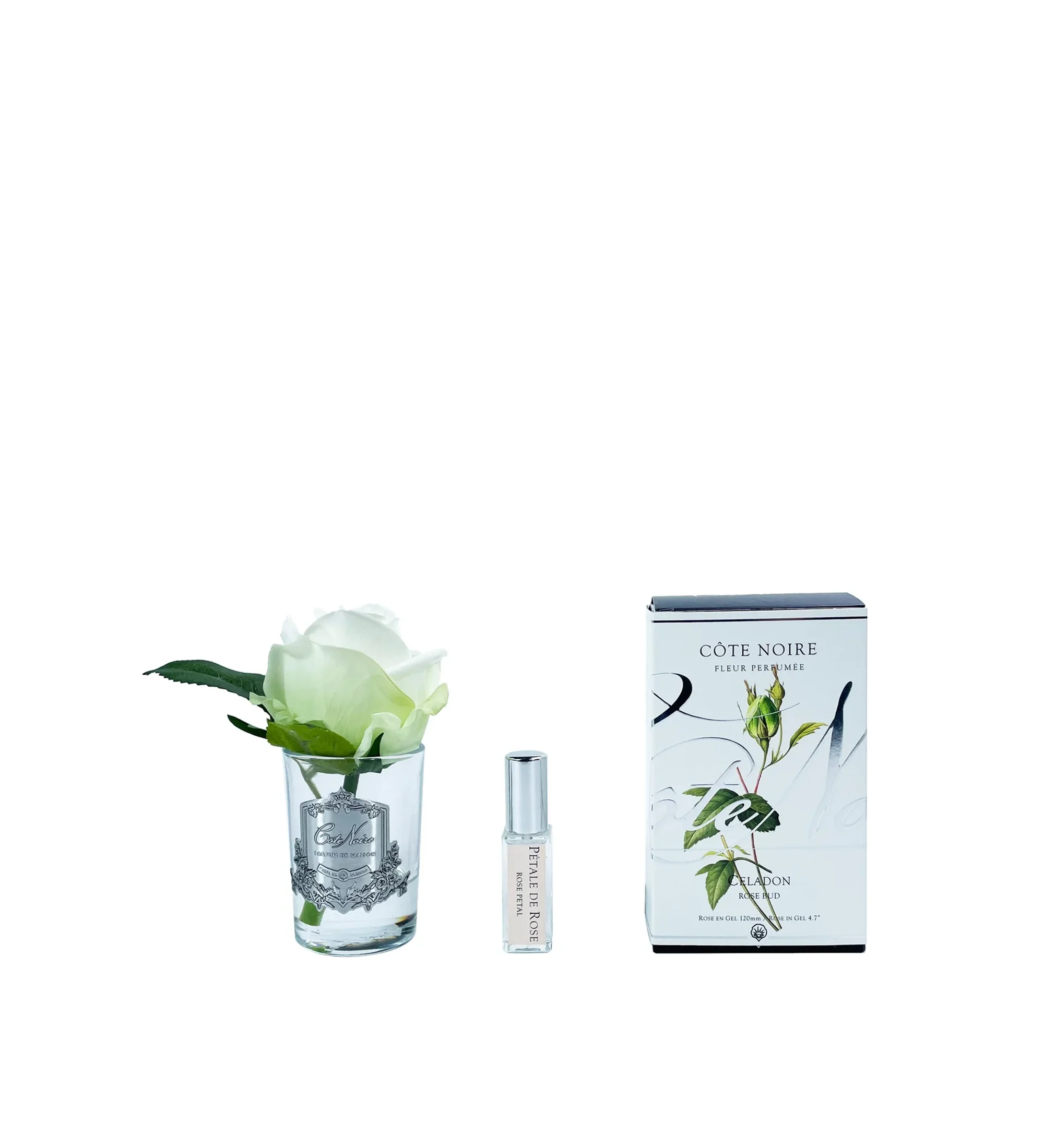 Hoa Tinh Dầu Nụ Hồng Xanh Celadon Bình Trong Suốt