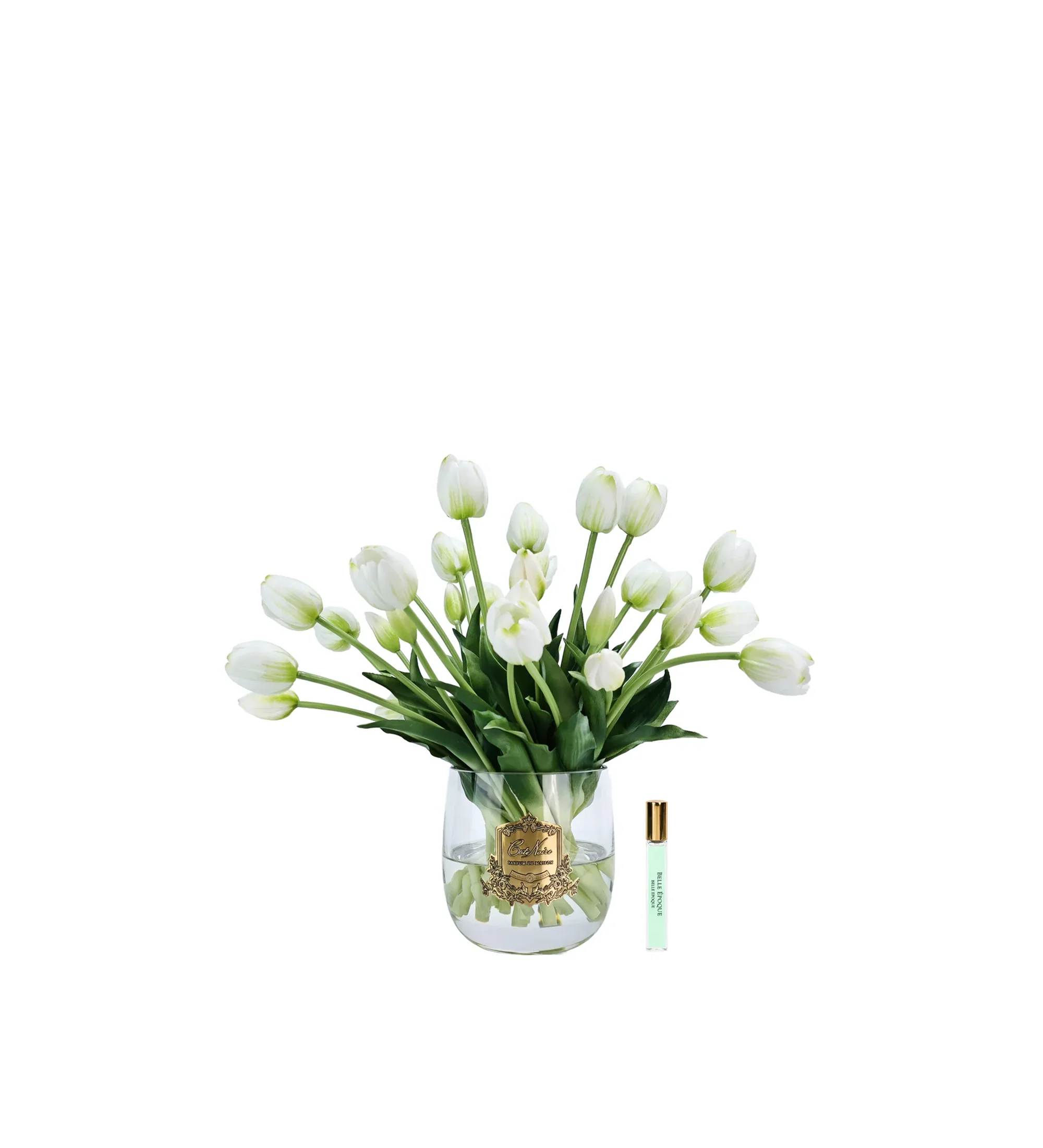 Hoa Tinh Dầu Tulip Heritage Trắng Ivory