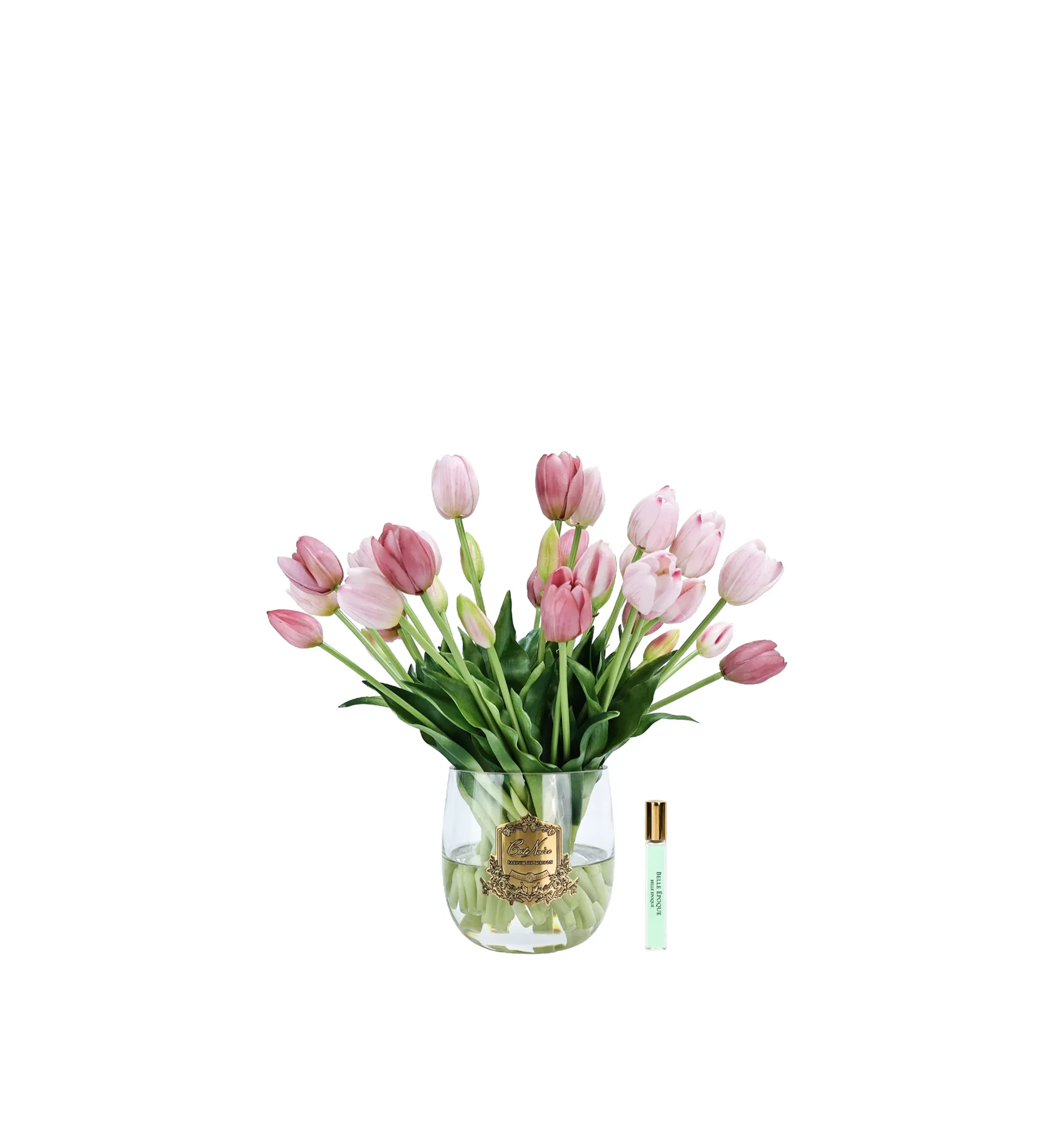 Hoa Tinh Dầu Tulip Heritage Hồng