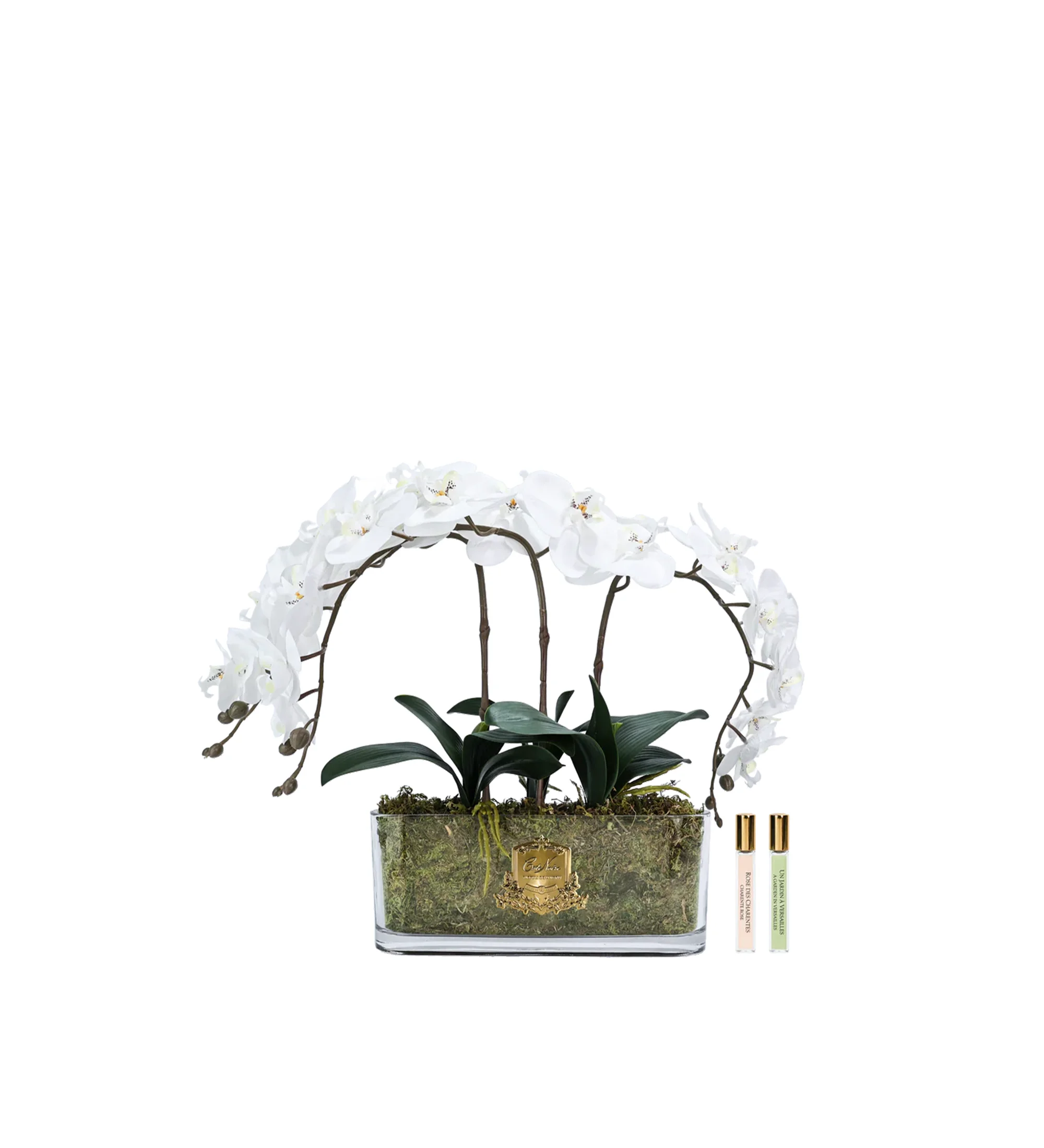 Hoa Tinh Dầu Lan Hồ Điệp Oval Trắng Ivory