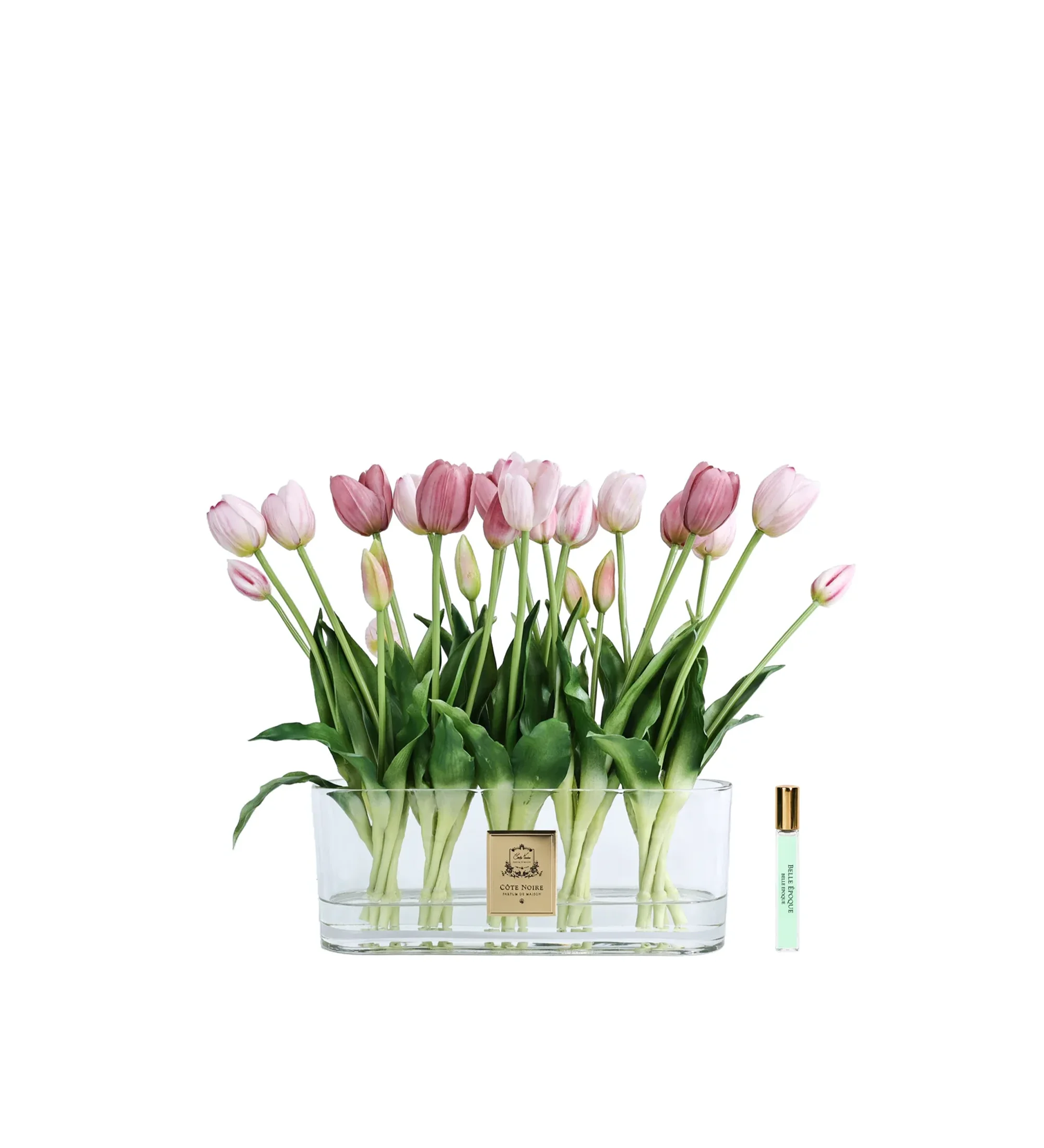 Hoa Tinh Dầu Tulip Oval Hồng